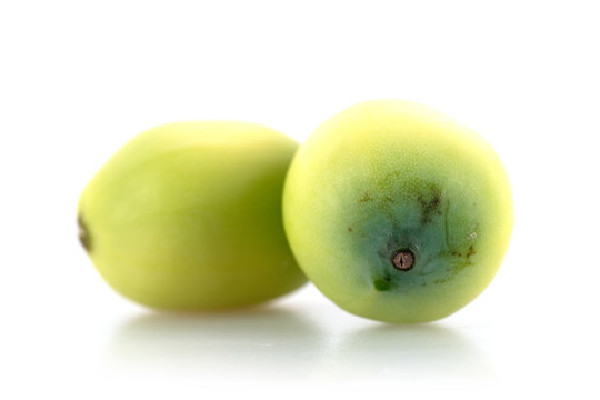 新鮮蓮子為什么是甜的 新鮮蓮子可以降血糖嗎 新鮮蓮子為什么是甜的 新鮮蓮子可以降血糖嗎