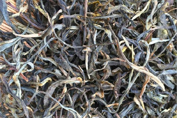 生普洱和熟普洱有什么區(qū)別 生普洱好還是熟普洱好 生普洱和熟普洱有什么區(qū)別 生普洱好還是熟普洱好