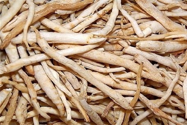 沙參煲湯需要提前泡嗎 沙參煲湯的做法 沙參煲湯需要提前泡嗎 沙參煲湯的做法