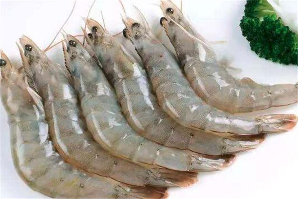 基圍蝦適合減肥吃嗎 基圍蝦一次吃多少為好 基圍蝦適合減肥吃嗎 基圍蝦一次吃多少為好