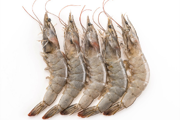 基圍蝦煮出來發(fā)黑怎么回事 基圍蝦發(fā)黑還能吃嗎 基圍蝦煮出來發(fā)黑怎么回事 基圍蝦發(fā)黑還能吃嗎