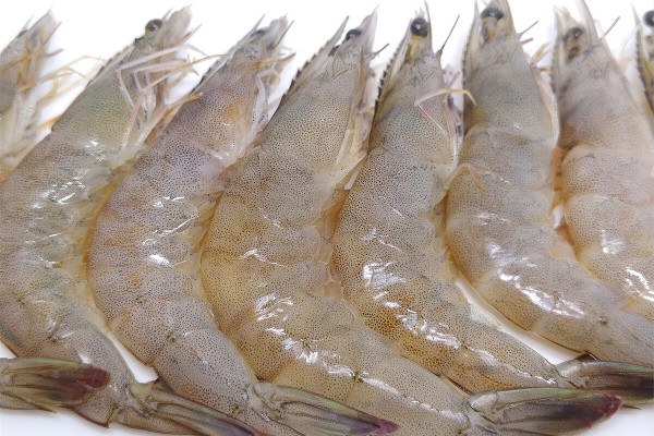 基圍蝦適合減肥吃嗎 基圍蝦一次吃多少為好 基圍蝦適合減肥吃嗎 基圍蝦一次吃多少為好