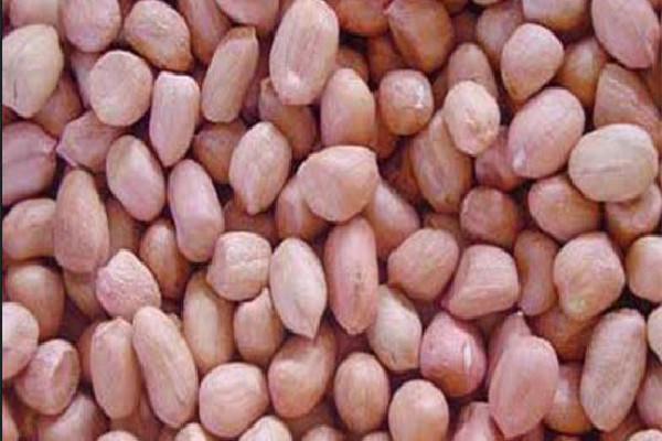 花生的功效和作用 花生可以做成什么美食 花生的功效和作用 花生可以做成什么美食