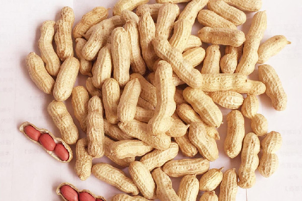 花生會促進癌細胞轉(zhuǎn)移嗎 花生對腎結石有影響嗎