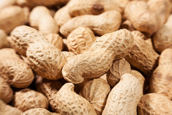 花生會促進癌細胞轉(zhuǎn)移嗎 花生對腎結石有影響嗎