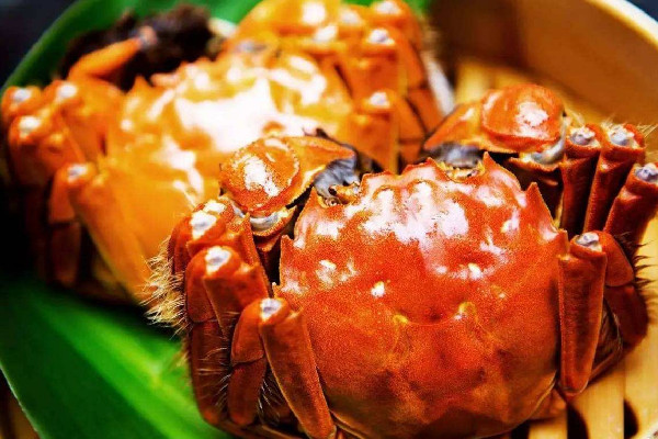 大閘蟹用大火蒸還是小火蒸 大閘蟹蒸要放什么佐料 大閘蟹用大火蒸還是小火蒸 大閘蟹蒸要放什么佐料