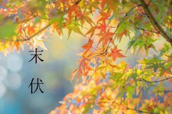 末伏后天氣還要熱多久 末伏是最熱的嗎 末伏后天氣還要熱多久 末伏是最熱的嗎