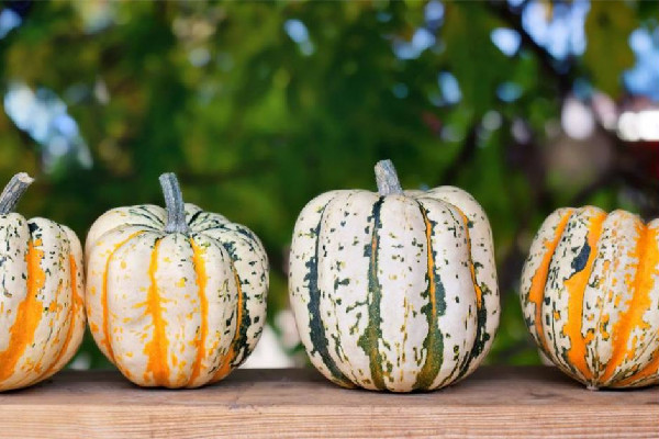 末伏吃什么傳統(tǒng)食物 末伏吃雞肉好嗎 末伏吃什么傳統(tǒng)食物 末伏吃雞肉好嗎