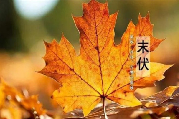 末伏可以貼三伏貼嗎 末伏怎么養(yǎng)生 末伏可以貼三伏貼嗎 末伏怎么養(yǎng)生