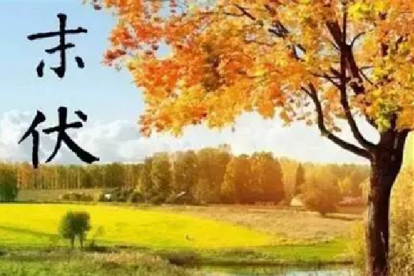 末伏后天氣還要熱多久 末伏是最熱的嗎 末伏后天氣還要熱多久 末伏是最熱的嗎