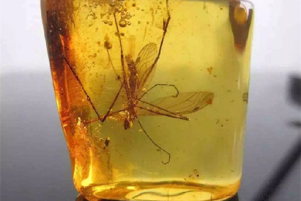 琥珀是透明的好還是不透明的好 琥珀的等級如何劃分 琥珀是透明的好還是不透明的好 琥珀的等級如何劃分