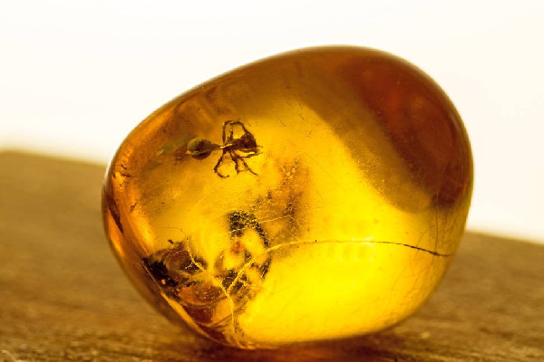 琥珀越戴顏色越深嗎 琥珀佩戴時(shí)間長(zhǎng)了會(huì)怎樣 琥珀越戴顏色越深嗎 琥珀佩戴時(shí)間長(zhǎng)了會(huì)怎樣