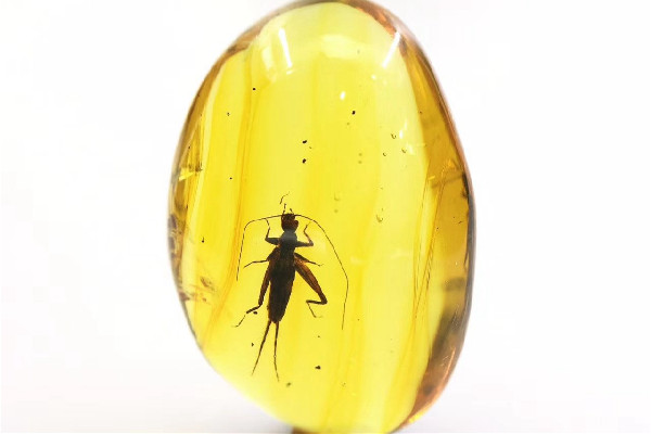 琥珀戴久了霧蒙蒙的怎么辦 琥珀怎么清洗保養(yǎng)方法 琥珀戴久了霧蒙蒙的怎么辦 琥珀怎么清洗保養(yǎng)方法