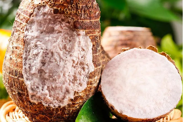 荔浦芋頭要蒸多久才熟 荔浦芋頭蒸著吃好吃嗎 荔浦芋頭要蒸多久才熟 荔浦芋頭蒸著吃好吃嗎