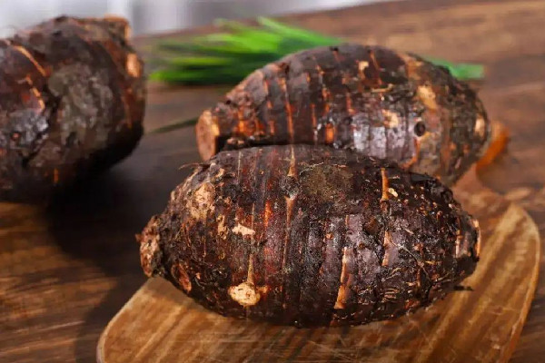 荔浦芋頭多少錢一斤市場(chǎng)價(jià) 荔浦芋頭買什么樣的好 荔浦芋頭多少錢一斤市場(chǎng)價(jià) 荔浦芋頭買什么樣的好