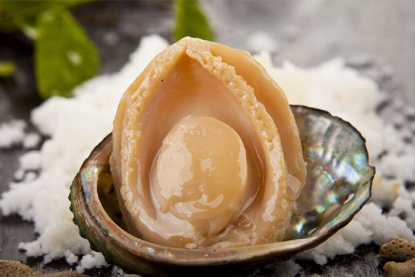 鮑魚(yú)怎么清洗 鮑魚(yú)要用鹽水泡嗎