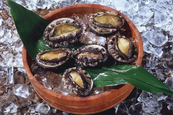 鮑魚(yú)怎么清洗 鮑魚(yú)要用鹽水泡嗎
