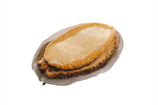 鮑魚的功效和作用 鮑魚可以燒烤吃嗎 鮑魚的功效和作用 鮑魚可以燒烤吃嗎