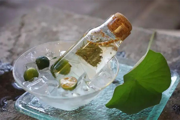 冷泡茶用什么茶葉最好 冷泡茶是什么意思 冷泡茶用什么茶葉最好 冷泡茶是什么意思