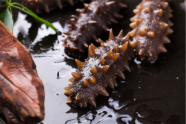 海參要煮多長時(shí)間就熟了 海參煮了為什么變小了