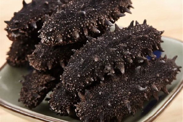 干海參可以直接煮著吃嗎 干海參不泡發(fā)可以直接吃嗎 干海參可以直接煮著吃嗎 干海參不泡發(fā)可以直接吃嗎