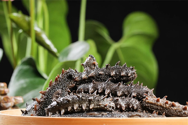 海參要煮多長時(shí)間就熟了 海參煮了為什么變小了