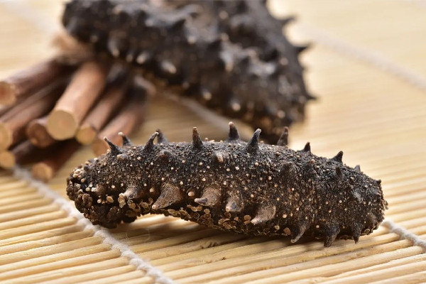 干海參多少錢一斤市場價2022 干海參是怎么制成的 干海參多少錢一斤市場價2022 干海參是怎么制成的