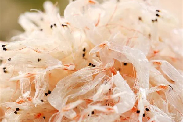 蝦皮多少錢一斤市場價 蝦皮買生的還是熟的 蝦皮多少錢一斤市場價 蝦皮買生的還是熟的