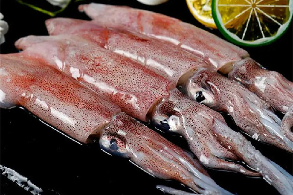 新鮮魷魚多少錢一斤市場(chǎng) 新鮮魷魚是什么樣子