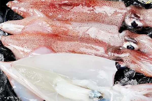 新鮮魷魚有點(diǎn)臭了還能吃嗎 新鮮魷魚有臭味正常嗎 新鮮魷魚有點(diǎn)臭了還能吃嗎 新鮮魷魚有臭味正常嗎