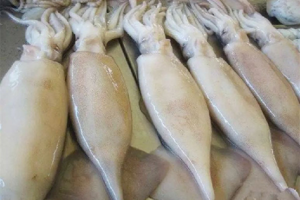 新鮮魷魚為什么熟了發(fā)硬 新鮮魷魚炒多久能炒熟 新鮮魷魚為什么熟了發(fā)硬 新鮮魷魚炒多久能炒熟