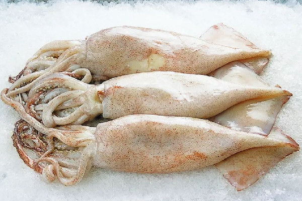 新鮮魷魚和泡發(fā)魷魚的區(qū)別 新鮮魷魚買大的好還是小的好 新鮮魷魚和泡發(fā)魷魚的區(qū)別 新鮮魷魚買大的好還是小的好