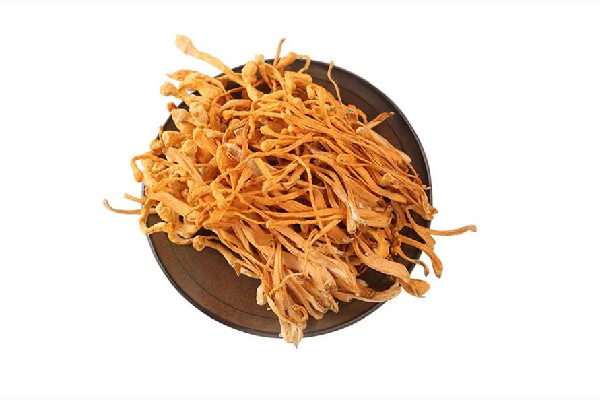 蟲草花是野生的嗎 蟲草花什么樣 蟲草花是野生的嗎 蟲草花什么樣