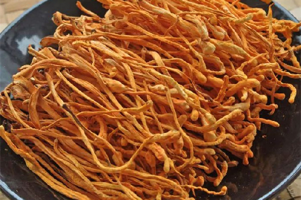 蟲(chóng)草花有酸味能吃嗎 蟲(chóng)草花有味道嗎 蟲(chóng)草花有酸味能吃嗎 蟲(chóng)草花有味道嗎