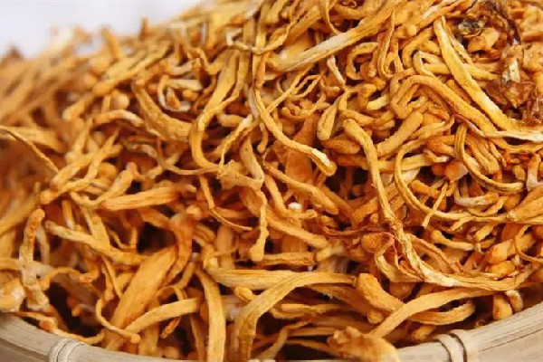 蟲(chóng)草花要怎樣清洗浸泡 蟲(chóng)草花可以炒著吃嗎 蟲(chóng)草花要怎樣清洗浸泡 蟲(chóng)草花可以炒著吃嗎