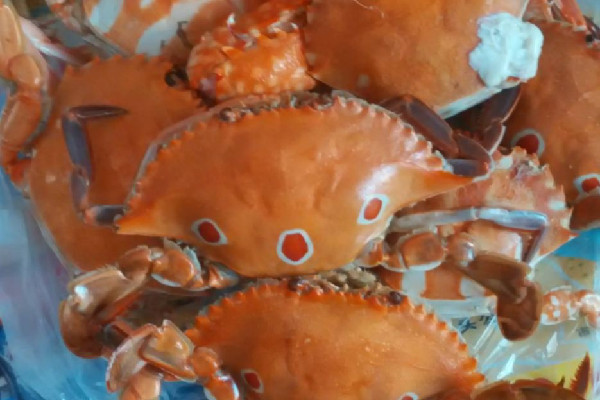 三眼蟹和梭子蟹的區(qū)別 三眼蟹和梭子蟹哪個好吃 三眼蟹和梭子蟹的區(qū)別 三眼蟹和梭子蟹哪個好吃