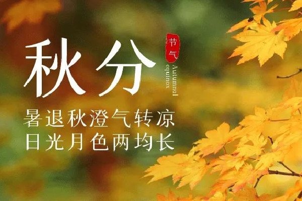 秋分是2022年的幾月幾日 秋分是進入秋天的意思嗎 秋分是2022年的幾月幾日 秋分是進入秋天的意思嗎