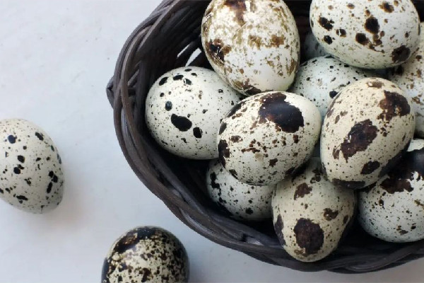 鵪鶉蛋和雞蛋哪個價值高 鵪鶉蛋和雞蛋能一起吃嗎 鵪鶉蛋和雞蛋哪個價值高 鵪鶉蛋和雞蛋能一起吃嗎