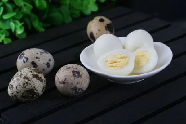 鵪鶉蛋吃幾個(gè)合適 鵪鶉蛋吃多了會(huì)怎樣 鵪鶉蛋吃幾個(gè)合適 鵪鶉蛋吃多了會(huì)怎樣