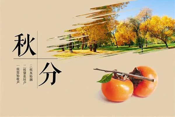 秋分是2022年的幾月幾日 秋分是進入秋天的意思嗎 秋分是2022年的幾月幾日 秋分是進入秋天的意思嗎