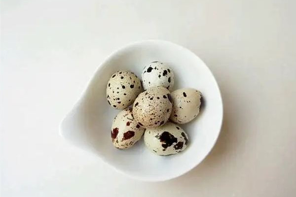 鵪鶉蛋吃幾個(gè)合適 鵪鶉蛋吃多了會(huì)怎樣 鵪鶉蛋吃幾個(gè)合適 鵪鶉蛋吃多了會(huì)怎樣