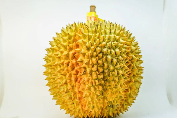 榴蓮吃起來苦怎么回事 榴蓮是高蛋白食物嗎 榴蓮吃起來苦怎么回事 榴蓮是高蛋白食物嗎