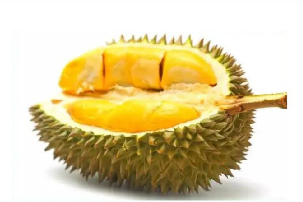 榴蓮不熟放幾天才能變熟 榴蓮不裂開(kāi)代表沒(méi)熟嗎 榴蓮不熟放幾天才能變熟 榴蓮不裂開(kāi)代表沒(méi)熟嗎