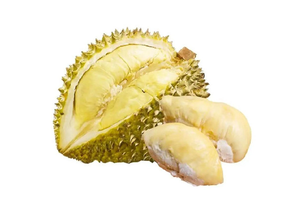 榴蓮吃起來苦怎么回事 榴蓮是高蛋白食物嗎 榴蓮吃起來苦怎么回事 榴蓮是高蛋白食物嗎