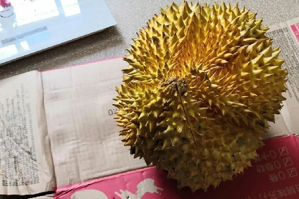 榴蓮吃多了上火嗎 榴蓮吃多少量合適 榴蓮吃多了上火嗎 榴蓮吃多少量合適