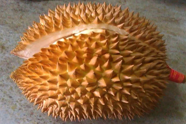 榴蓮買開口的好還是不開口的好 榴蓮開口了還能買嗎 榴蓮買開口的好還是不開口的好 榴蓮開口了還能買嗎