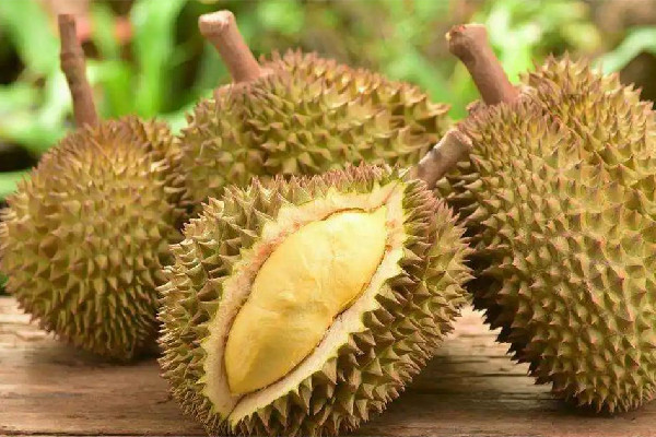 榴蓮不熟放幾天才能變熟 榴蓮不裂開(kāi)代表沒(méi)熟嗎 榴蓮不熟放幾天才能變熟 榴蓮不裂開(kāi)代表沒(méi)熟嗎