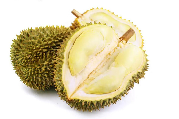 金枕榴蓮怎么挑選 金枕榴蓮買大的好還是小的好呢 金枕榴蓮怎么挑選 金枕榴蓮買大的好還是小的好呢