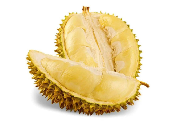 金枕榴蓮多少錢一斤 金枕榴蓮屬于什么等級(jí) 金枕榴蓮多少錢一斤 金枕榴蓮屬于什么等級(jí)