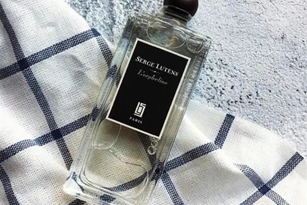 蘆丹氏孤兒怨是孤女嗎 蘆丹氏孤兒怨怎么鑒別 蘆丹氏孤兒怨是孤女嗎 蘆丹氏孤兒怨怎么鑒別